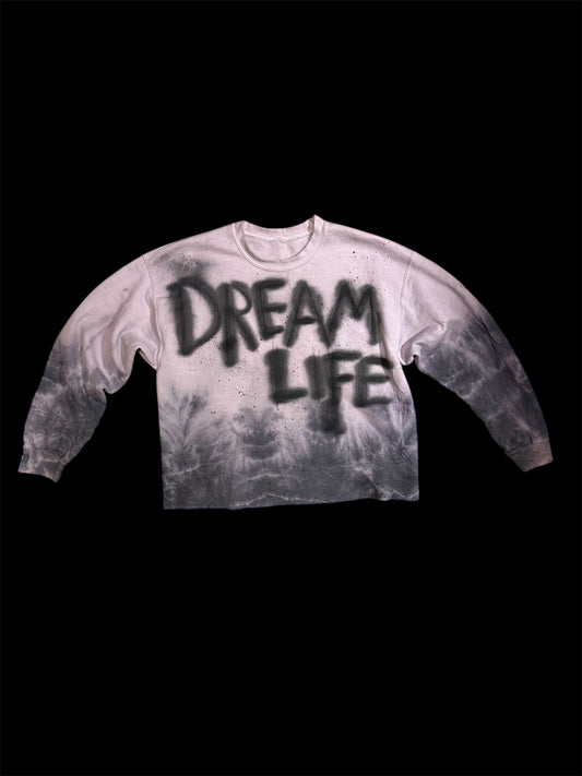 DREAMLIFE V2